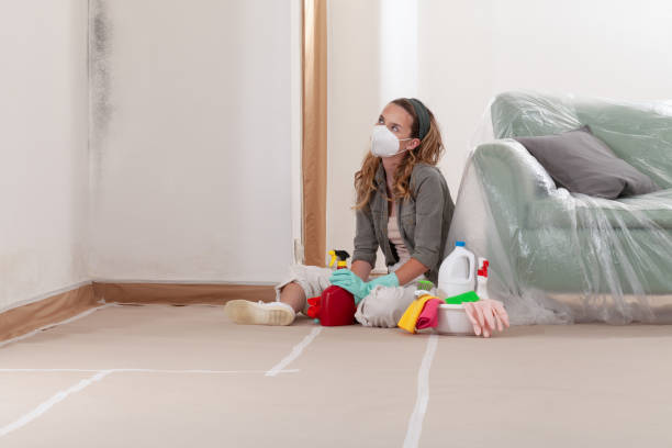 Reliable Hvac And Air Duct Mold Remediation contractor in West Long Branch, NJ by 24 Hour Mold Removal